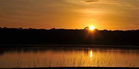 kasungu national park 015.jpg