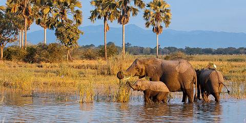 liwonde national park 015.jpg