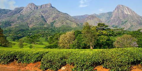 mount mulanje 014.jpg