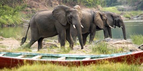 nkhotakota wildlife reserve 004.jpg